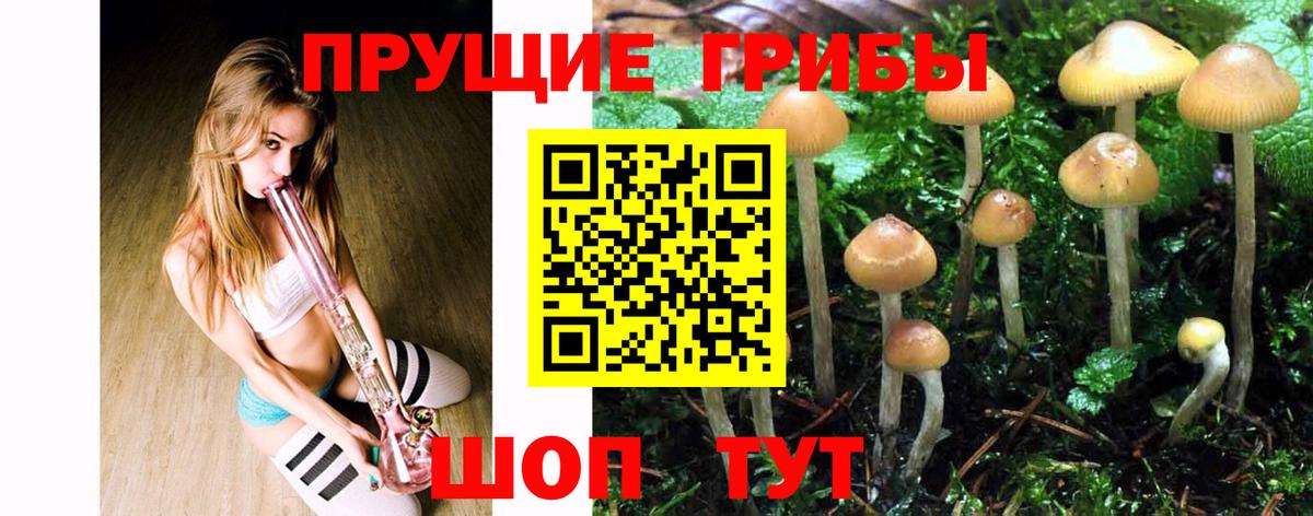 где продают   Галлюциногенные грибы мицелий  Вход с VPN  Можайск 