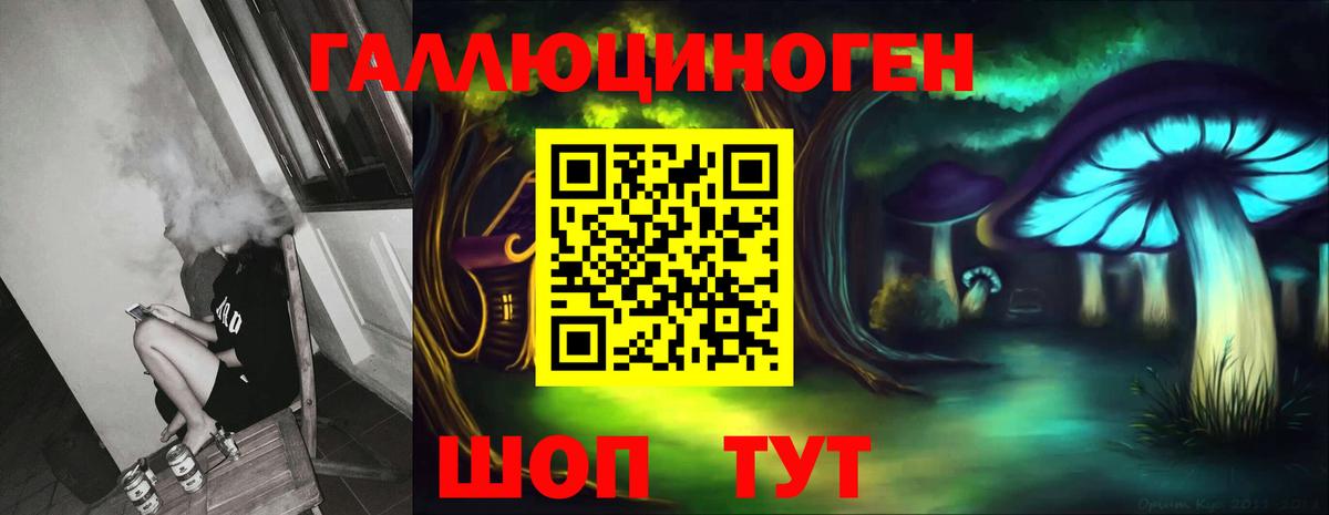 Галлюциногенные грибы Psilocybe Можайск